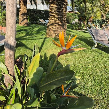 アジェーロラ La Cicogna Bed & Breakfast エクステリア 写真
