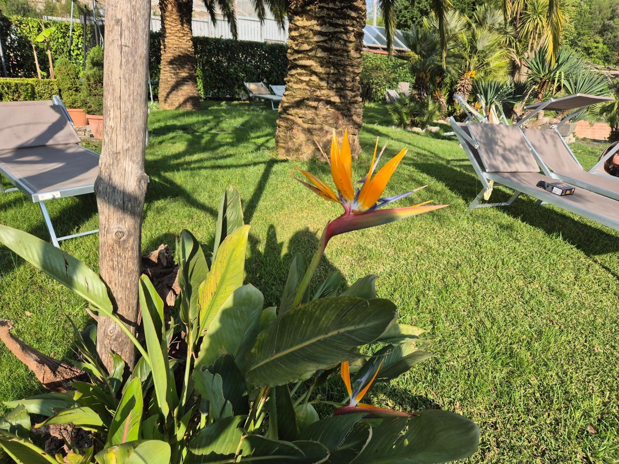 アジェーロラ La Cicogna Bed & Breakfast エクステリア 写真